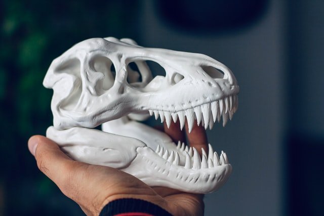 3D tisk z PLA - lebka tyranosaura