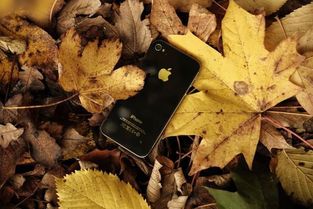 ztracený iphone na zemi v listí